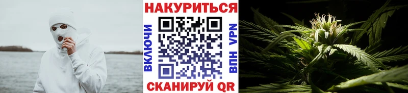 Канабис SATIVA & INDICA  где купить наркоту  Надым 